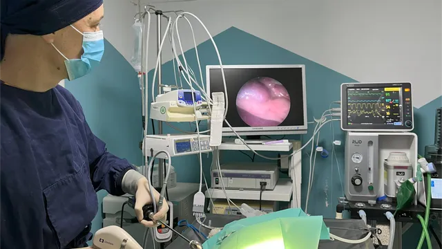Anestezija i praćenje vitalnih parametara